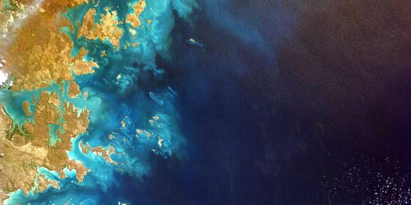 一个塑料袋在超市购物车中的特写，背景是琳琅满目的商品