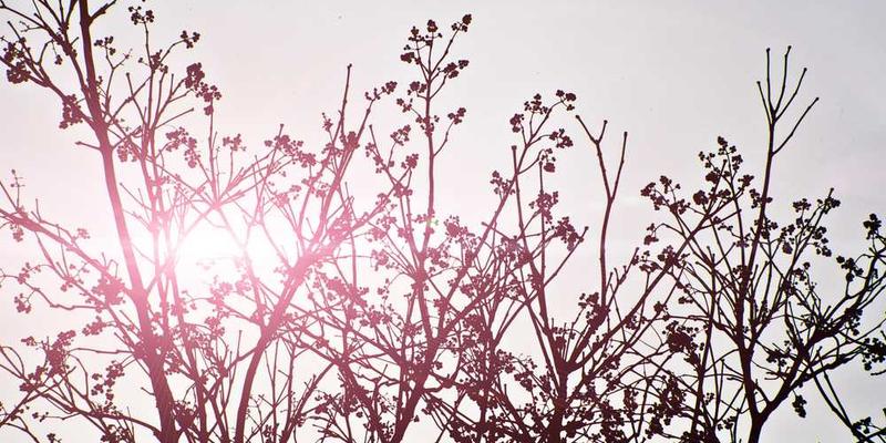 AI仲裁员处理了我和邻居的纠纷，它的判决绝对公平，但我们两家都觉得心里空落落的。