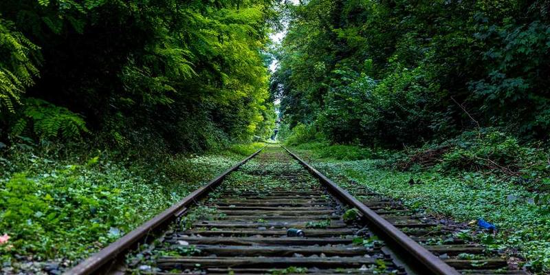 翻看旧手机相册:前置摄像头像素进化与自拍表情社会学