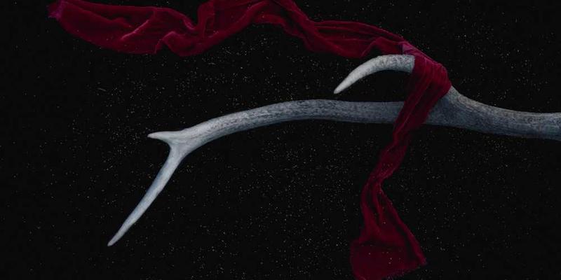 梦境中的美好场景,一位女子在花园中跳舞,花朵随风飘落,画面温馨而美好,充满生活的希望