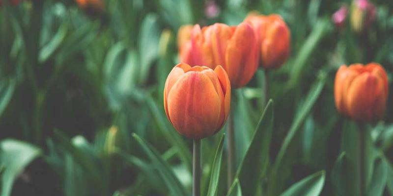 时间膨胀效应示意图,展示两个不同速度下时间流逝的差异