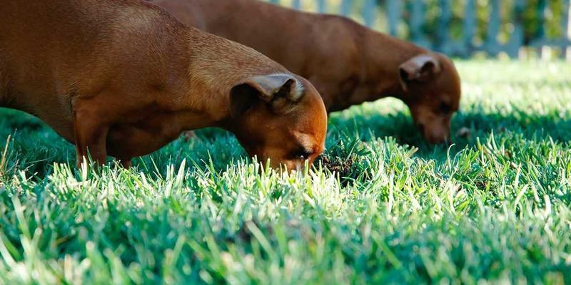 一双磨损严重的鞋底，上面布满了复杂的纹路