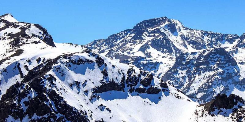 分析“顿悟”时刻，是宿主免疫系统突然与某个知识寄生体达成完美和解的瞬间