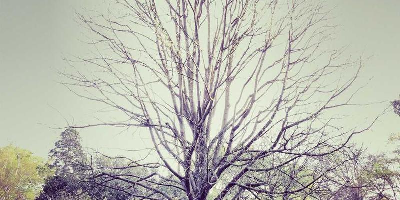 一位年轻人专注地查看手机屏幕，背景中是社交媒体的点赞图标，象征点赞背后的心理饥渴