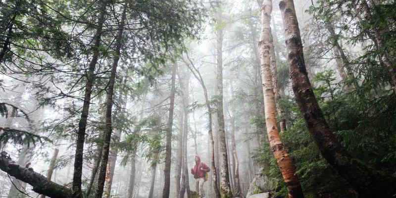 “平行人生剧本”撰写与季度阅读服务