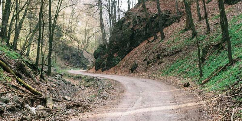 夜晚的庭院，月光洒在爬满爬山虎的院墙上，宛如一幅静谧的画卷