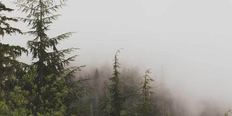 找到一张软盘：如何解读这个过载时代的轻量存储文物