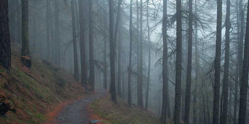 购物者将破损的塑料袋扔进垃圾桶，背景是城市街道的繁忙景象