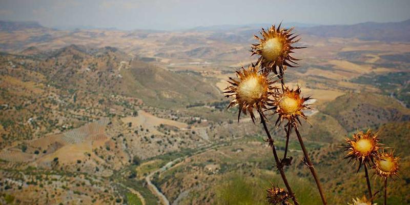 连续一周,每天故意“丢失”一件小物品,并享受寻找的过程