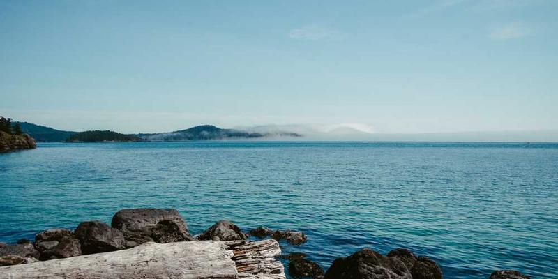 说明：一位消费者在阅读可口可乐的瓶身，瓶身上印有品牌的历史故事，背景是一幅描绘公司发展历程的画卷