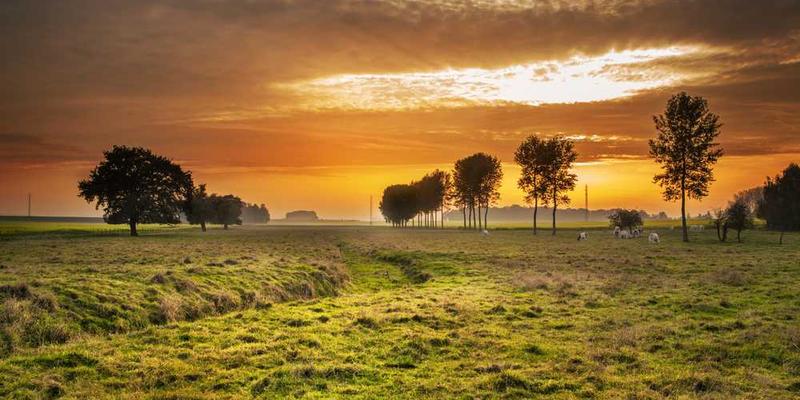一家人围坐在沙发上,看着电视,画面上播放着刚才的聚餐场景,每个人脸上都洋溢着幸福的笑容。