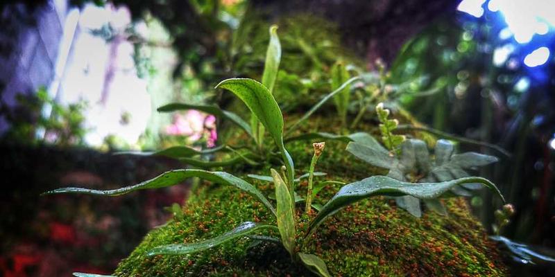 戒断某一特定信息源(如某App、某博主)一周后的戒断反应与认知变化。