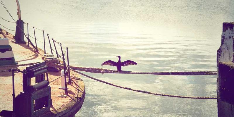 记录我如何结束一次淋浴：是水温变冷，还是内心某个开关被关上