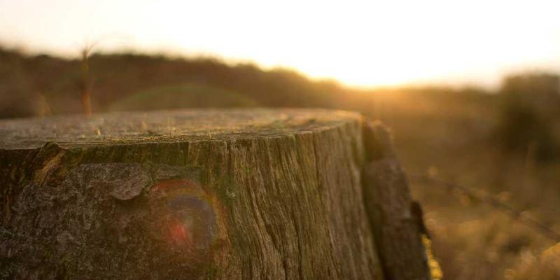 与AI玩角色扮演游戏，它扮演的对手太过真实，让我在游戏外也产生了持续的情绪反应。