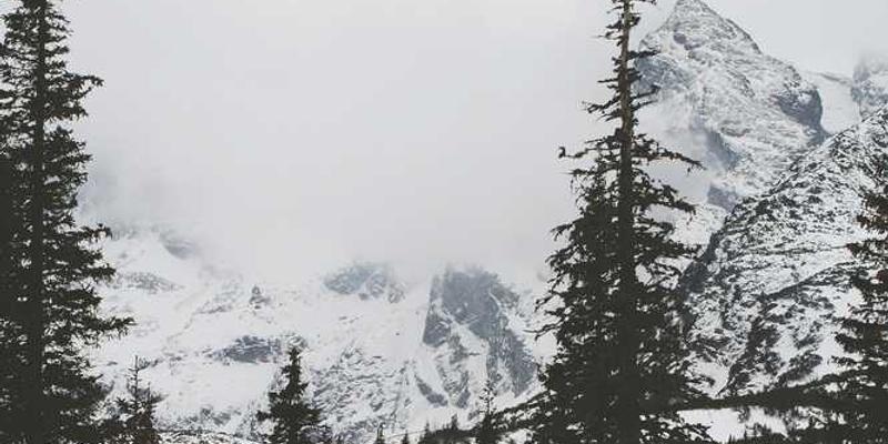 一张展示不同品牌快餐纸袋上油渍的特写照片，背景是快节奏的城市景象，如行色匆匆的行人、繁忙的街道和闪烁的霓虹灯。