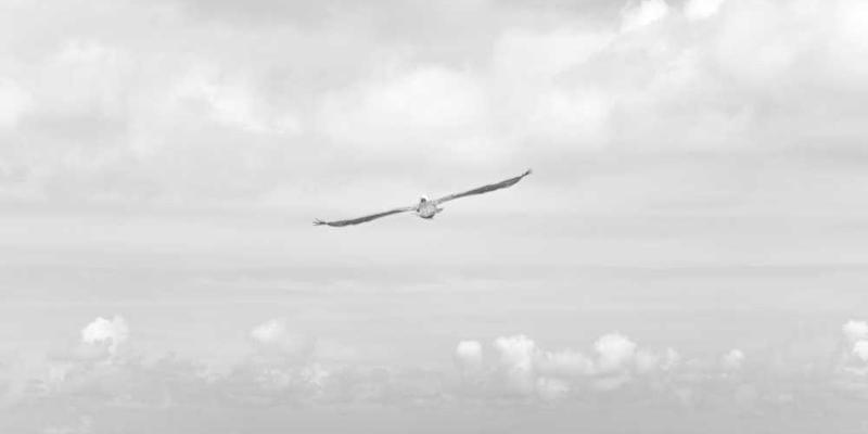 一个沙漏,上面注有“等待的时间”字样,下方是数字和时间刻度,形象地展示了等待的流逝