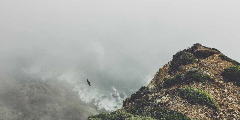 将手机充电线缠绕的形态，当作抽象雕塑进行每日记录与命名