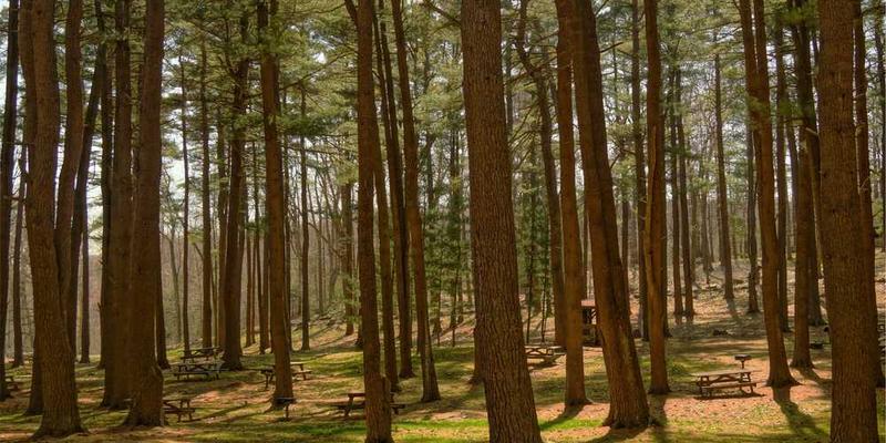 一双袜子在鞋中摩擦，表情痛苦
