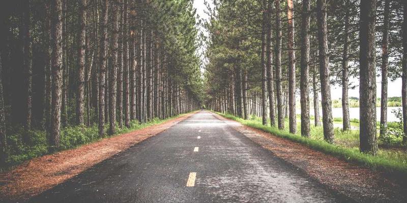 一位用户在电脑上使用RSS阅读器和Newsletter的场景,体现用户专注阅读和筛选信息的状态