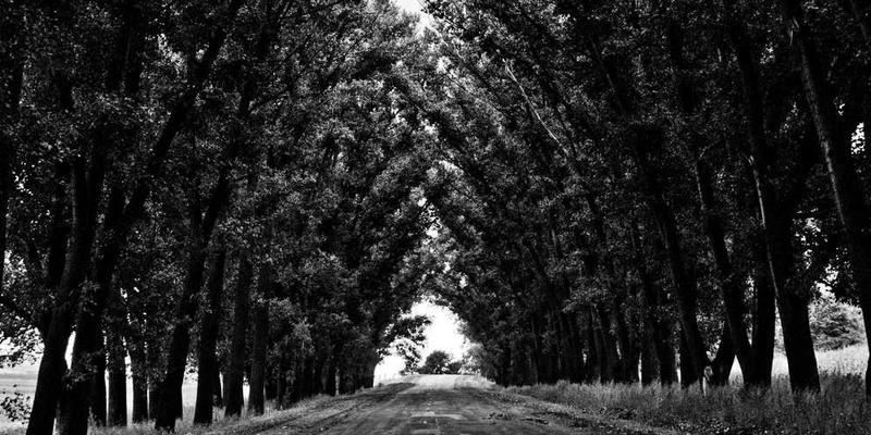 展示AI将科学数据转化为雕塑设计文件的过程，如3D建模、数据分析等场景。说明：本图片为AI技术将科学数据转化为雕塑设计文件的过程示意图，旨在展示人工智能在知识创新领域的应用前景。