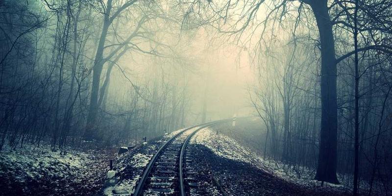 如果成为职业运动员,“我”的赛前仪式或许是对某个护膝的反复亲吻。