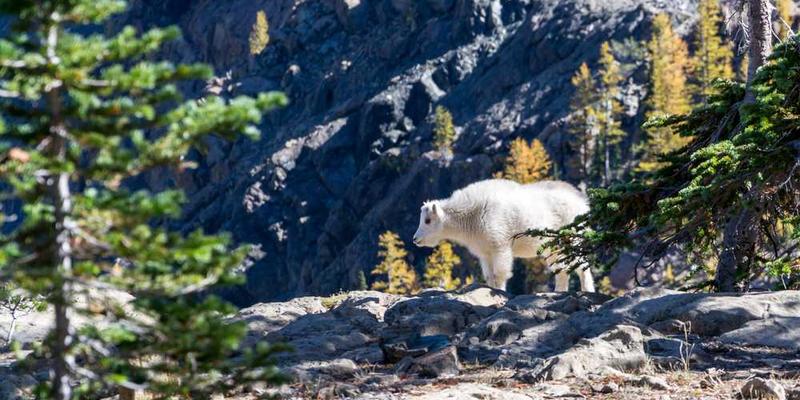 说明：一张分主题展厅的图片，例如一幅展现家庭关系的画作或一组家庭照片展板