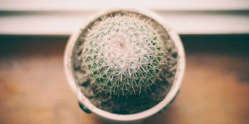 每年生日当天,给未来的自己录制一段一分钟的语音备忘录。