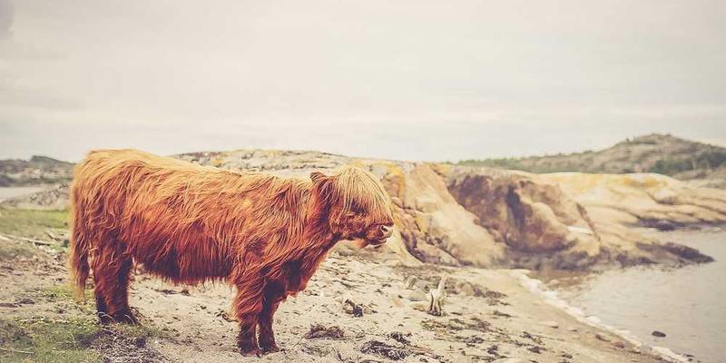 智能园艺AI设备，位于阳台，展示着调整后的pH值显示器