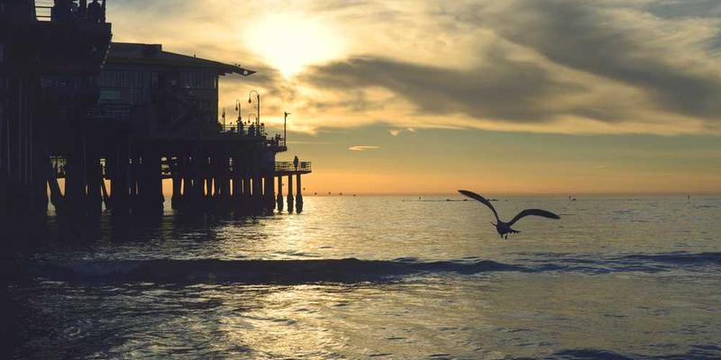 说明：一位用户在使用智能助手，背景为繁华的城市夜景。