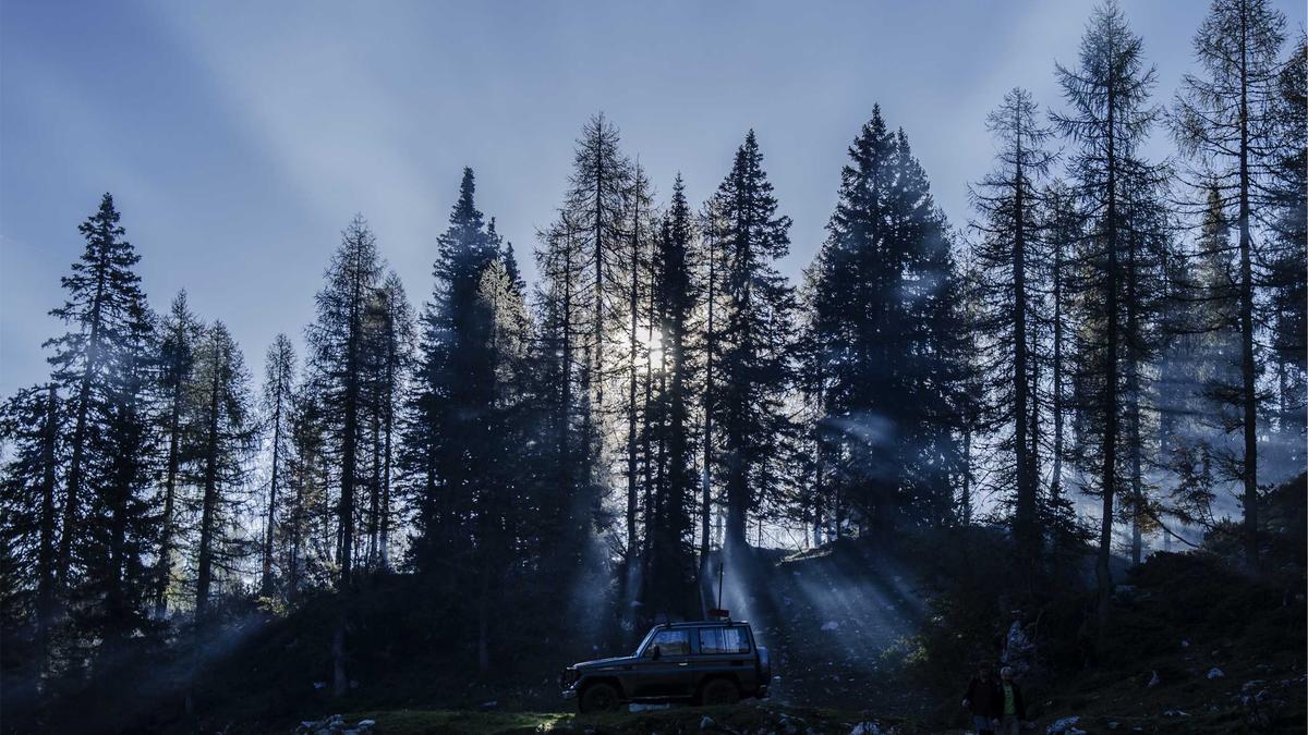 赛事纪念品官方供应商使用童工缝制吉祥物玩偶，贴牌后以百倍价格出售。